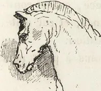 An illustration from La vie hors de chez soi (comédie de notre temps) l'hiver, le printemps, l'été, l'automne; études au crayon et à la plume (1876)