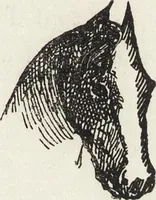Picture 230 of 461 from La vie hors de chez soi (comédie de notre temps) l'hiver, le printemps, l'été, l'automne; études au crayon et à la plume (1876), leaf 354
