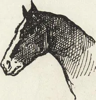 An illustration from La vie hors de chez soi (comédie de notre temps) l'hiver, le printemps, l'été, l'automne; études au crayon et à la plume (1876)