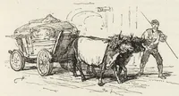 An illustration from La vie hors de chez soi (comédie de notre temps) l'hiver, le printemps, l'été, l'automne; études au crayon et à la plume (1876)