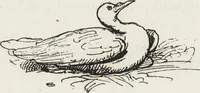 An illustration from La vie hors de chez soi (comédie de notre temps) l'hiver, le printemps, l'été, l'automne; études au crayon et à la plume (1876)
