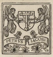 Picture 9 of 11 from Nanceidos : opus de bello Nanceiano, hac primum exaratvra elimatissime nvperrime in lvcem emissvm (1518), leaf 265