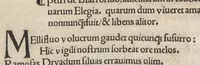An illustration from Nanceidos : opus de bello Nanceiano, hac primum exaratvra elimatissime nvperrime in lvcem emissvm (1518)