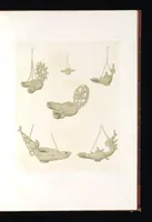 Picture 4 of 18 from Catacombes de Rome : architecture, peintures murales, lampes, vases, pierres précieuses gravées, instruments, objets divers, fragments de vases en verre doré, inscriptions, figures et symboles gravés sur pierre (1851), leaf 14