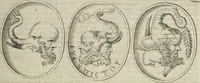An illustration from Novus thesaurus antiquitatum romanarum (1735)