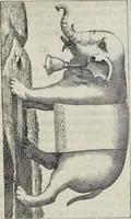 An illustration from Novus thesaurus antiquitatum romanarum (1735)