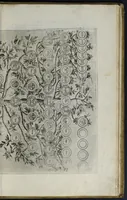 An illustration from Delle famiglie nobili napoletane (1580)