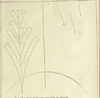 Picture 77 of 223 from Le premier tome de l'architectvre de Philibert de l'Orme .. (1568), leaf 254