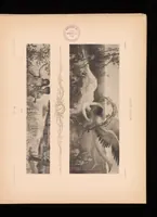 An illustration from Allegorien, neue Folge. Originalentwv̈rfe von namhaften modernen Kv̈nstlern (1900)