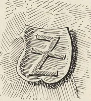 Picture 40 of 167 from Amtshauptmannschaft Oschatz (1905), leaf 43