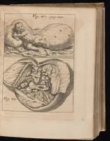 An illustration from Miscellanea curiosa, sive, Ephemeridum medico-physicarum Germanicarum (1677)
