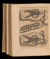 An illustration from Miscellanea curiosa, sive, Ephemeridum medico-physicarum Germanicarum (1677)