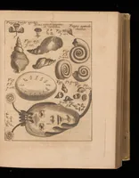 An illustration from Miscellanea curiosa, sive, Ephemeridum medico-physicarum Germanicarum (1677)