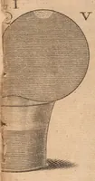 Picture 2 of 18 from Miscellanea curiosa, sive, Ephemeridum medico-physicarum Germanicarum (1677), leaf 75