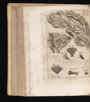An illustration from Miscellanea curiosa, sive, Ephemeridum medico-physicarum Germanicarum (1677)