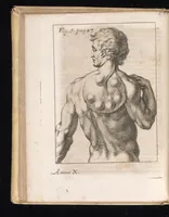 Picture 3 of 20 from Miscellanea curiosa, sive, Ephemeridum medico-physicarum Germanicarum (1677), leaf 89
