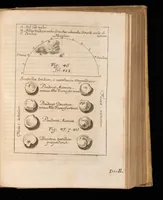 An illustration from Miscellanea curiosa, sive, Ephemeridum medico-physicarum Germanicarum (1677)