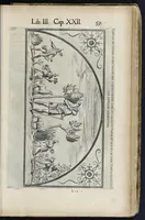 An illustration from Roma svbterranea novissima : in qva post Antonivm Bosivm antesignanvm, Io. Severanvm congreg. oratorii presbytervm, et celebres alios scriptores : antiqva Christianorvm et praecipue martyrun cœmeteria, titvli, monimenta, epitaphia, inscriptiones ac nobiliora sanctorvm sepvlchra, sex libris distincta illustrantvr et qvamplvrimae res ecclesiasticae iconibvs graphice describuntur, ac multiplici tum sacra, tum profana eruditione declarantur : cum duplici indice, capitum & rerum locupletissimo : opera et stvdio (1651)