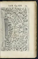 Picture 52 of 61 from Roma svbterranea novissima : in qva post Antonivm Bosivm antesignanvm, Io. Severanvm congreg. oratorii presbytervm, et celebres alios scriptores : antiqva Christianorvm et praecipue martyrun cœmeteria, titvli, monimenta, epitaphia, inscriptiones ac nobiliora sanctorvm sepvlchra, sex libris distincta illustrantvr et qvamplvrimae res ecclesiasticae iconibvs graphice describuntur, ac multiplici tum sacra, tum profana eruditione declarantur : cum duplici indice, capitum & rerum locupletissimo : opera et stvdio (1651), leaf 596