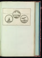Picture 12 of 18 from Monumens de l'histoire de France, en estampes et dessins .. (1783), leaf 136
