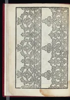 An illustration from Lvcidario di recami : nel qval si contengo molte & varie sorti di dissegni : a pvnti in aere, et pvnti tagliaci & a fogliami & con figure, & di piu altre maniere, come al presente si vsano non piu venute in luce : per leqvli ogni elevato ingegno potrà in diuersi modi commodissimamamente seruirsi (1563)