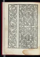 An illustration from Lvcidario di recami : nel qval si contengo molte & varie sorti di dissegni : a pvnti in aere, et pvnti tagliaci & a fogliami & con figure, & di piu altre maniere, come al presente si vsano non piu venute in luce : per leqvli ogni elevato ingegno potrà in diuersi modi commodissimamamente seruirsi (1563)