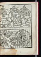 An illustration from Lvcidario di recami : nel qval si contengo molte & varie sorti di dissegni : a pvnti in aere, et pvnti tagliaci & a fogliami & con figure, & di piu altre maniere, come al presente si vsano non piu venute in luce : per leqvli ogni elevato ingegno potrà in diuersi modi commodissimamamente seruirsi (1563)