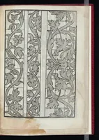 An illustration from Lvcidario di recami : nel qval si contengo molte & varie sorti di dissegni : a pvnti in aere, et pvnti tagliaci & a fogliami & con figure, & di piu altre maniere, come al presente si vsano non piu venute in luce : per leqvli ogni elevato ingegno potrà in diuersi modi commodissimamamente seruirsi (1563)