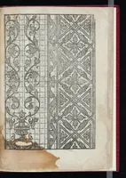 An illustration from Lvcidario di recami : nel qval si contengo molte & varie sorti di dissegni : a pvnti in aere, et pvnti tagliaci & a fogliami & con figure, & di piu altre maniere, come al presente si vsano non piu venute in luce : per leqvli ogni elevato ingegno potrà in diuersi modi commodissimamamente seruirsi (1563)