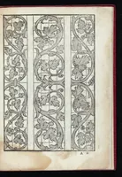 An illustration from Lvcidario di recami : nel qval si contengo molte & varie sorti di dissegni : a pvnti in aere, et pvnti tagliaci & a fogliami & con figure, & di piu altre maniere, come al presente si vsano non piu venute in luce : per leqvli ogni elevato ingegno potrà in diuersi modi commodissimamamente seruirsi (1563)
