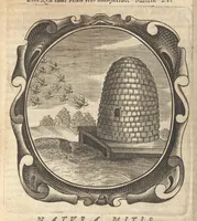 An illustration from Lux evangelica sub velum sacrorum emblematum recondita in anni dominicas selecta historia & morali doctrina variè adumbrata (1655)