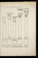 Picture 1 of 36 from Reigles generales de l'architecture, sur les cincq manieres d'edifices : ascauoir, thuscane, doricq̄, ioniq̄, corinthe, & cōposite, auec les exemples danticquitez, selon la doctrine de Vitruue (1542), leaf 8
