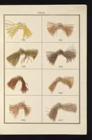 An illustration from Dyeing : comprising the dyeing and bleaching of wool, silk, cotton, flax, hemp, china grass, &c. (1888)