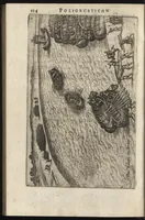 Picture 16 of 29 from Ivsti LipsI Poliorcetic[o]n, sive, De machinis, tormentis, telis, libri qvinqve : ad historiarum lucem (1596), leaf 145