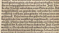 An illustration from Der erste [-ander] Theyl der kleynen teütschen Apoteck, Confect oder Latwergen Büchlins : darin[n] begriffen warhafftige, künstliche, gerechte Vnderweysung vn[nd] Anzeygung aller Latwergen, Confect, Conseruen, Einbeytzungen vnnd Einmachungen von macherley Früchten, Blůmen, Kreüttern vn[nd] Wurtzeln, sampt andern künstlichen vnd anmütigen Stucken, wie solche inn den Apotecken gemacht vnd inn grossem Werdt gehalten vnd verkaufft werden ... auch nützliche Erklärung der Natur, Krafft vnnd Würckung diser Stuck, warzů ein jedes nutzlich gebraucht werden mög zeitlichs Leben zůerhalten vnd schwäre Kranckheyt zůuertreiben (1559)
