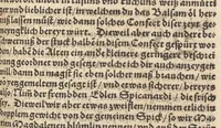An illustration from Der erste [-ander] Theyl der kleynen teütschen Apoteck, Confect oder Latwergen Büchlins : darin[n] begriffen warhafftige, künstliche, gerechte Vnderweysung vn[nd] Anzeygung aller Latwergen, Confect, Conseruen, Einbeytzungen vnnd Einmachungen von macherley Früchten, Blůmen, Kreüttern vn[nd] Wurtzeln, sampt andern künstlichen vnd anmütigen Stucken, wie solche inn den Apotecken gemacht vnd inn grossem Werdt gehalten vnd verkaufft werden ... auch nützliche Erklärung der Natur, Krafft vnnd Würckung diser Stuck, warzů ein jedes nutzlich gebraucht werden mög zeitlichs Leben zůerhalten vnd schwäre Kranckheyt zůuertreiben (1559)