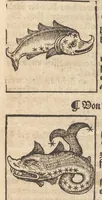 An illustration from Himels Lauffs Wirckung vnd natürliche Influentz der Planeten, Gestirn vnd Zeychen : auss Grund der Astronomei, nach jeder Zeit, Jar, Tag vnd Stunden Constellation : In Natiuiteten, zur Artznei, Wolfart, vnd allem Leben der Menschen zuwissen von Nöten : mitsampt astronomischer vnd mathematischer Instrument, als Astrolabien, Quadranten, Compäst, Sonnuhren vnd Nocturnal, künstlicher Zůrichtung vnd nützlichem Gebrauch : alles Innhalt beigelegten Registers (1564)