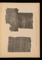 An illustration from Catalogue de la collection de tissus anciens de D. Francisco Miquel y Badia (1900)
