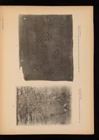 An illustration from Catalogue de la collection de tissus anciens de D. Francisco Miquel y Badia (1900)