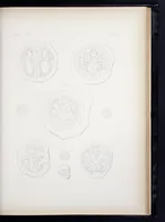 An illustration from Storia della arte cristiana nei primi otto secoli della chiesa (1872)
