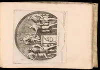 Picture 7 of 21 from [Bassi rilievi antichi nell'arco di Constantino, e in Campidoglio] (1655), leaf 16
