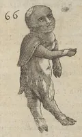 An illustration from Monstrorum historia memorabilis : monstrosa humanorum partuum miracula : stupendis conformationum formulis ab vtero materno enata : viuis exemplis, obseruationibus, & picturis, referens : accessit analogicum argumentum de monstris brutis : Supplementi loco ad observationes medicas Schenkianas edita (1609)