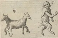 An illustration from Monstrorum historia memorabilis : monstrosa humanorum partuum miracula : stupendis conformationum formulis ab vtero materno enata : viuis exemplis, obseruationibus, & picturis, referens : accessit analogicum argumentum de monstris brutis : Supplementi loco ad observationes medicas Schenkianas edita (1609)