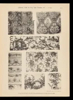 An illustration from Broderies chinoises, indiennes, toiles de Gênes & de Jouy, etc., etc (1900)