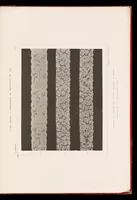 An illustration from La dentelle; 30 photographies d'après nature reproduites en phototypie (1884)