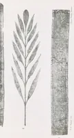 Picture 14 of 30 from Commenti sopra suppellettili sacre di argento ed oro appartenute ai primissimi secoli della chiesa : pubblicati gia il 1o gennaio 1888 pel faustissimo giorno del sacerdotale giubileo di papa Leone XIII e dedicati ai cultori di archeologia cristiana (1890), leaf 30