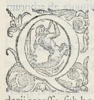 An illustration from Prosperi Alpini De plantis Aegypti liber : In quo non pauci, qui circa herbarum materiam irrepserunt, errores, deprehenduntur, quorum causa hactenus multa medicamenta ad vsum medicin[ae] admodum expetenda, plerisque medicorum, non sine artis iactura, occulta, atque obsoleta iacuerunt : accessit etiam liber de balsamo aliàs editus (1592)