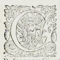 An illustration from Prosperi Alpini De plantis Aegypti liber : In quo non pauci, qui circa herbarum materiam irrepserunt, errores, deprehenduntur, quorum causa hactenus multa medicamenta ad vsum medicin[ae] admodum expetenda, plerisque medicorum, non sine artis iactura, occulta, atque obsoleta iacuerunt : accessit etiam liber de balsamo aliàs editus (1592)
