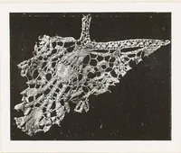 Picture 12 of 18 from Old Italian lace (1913), leaf 235