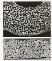 Picture 13 of 18 from Old Italian lace (1913), leaf 252